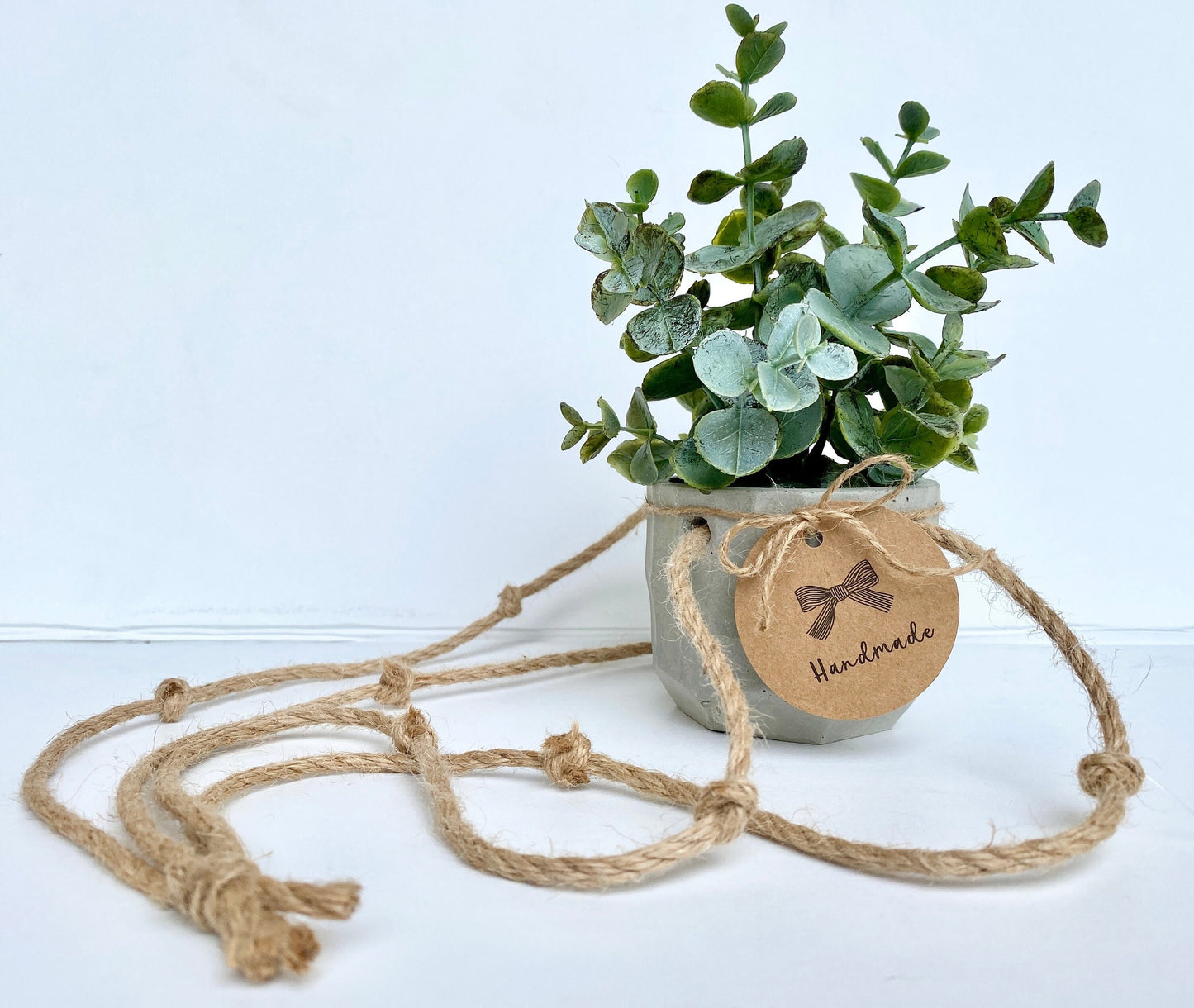 Hanging Faux Eucalyptus Plant in Handmade Concrete Pot