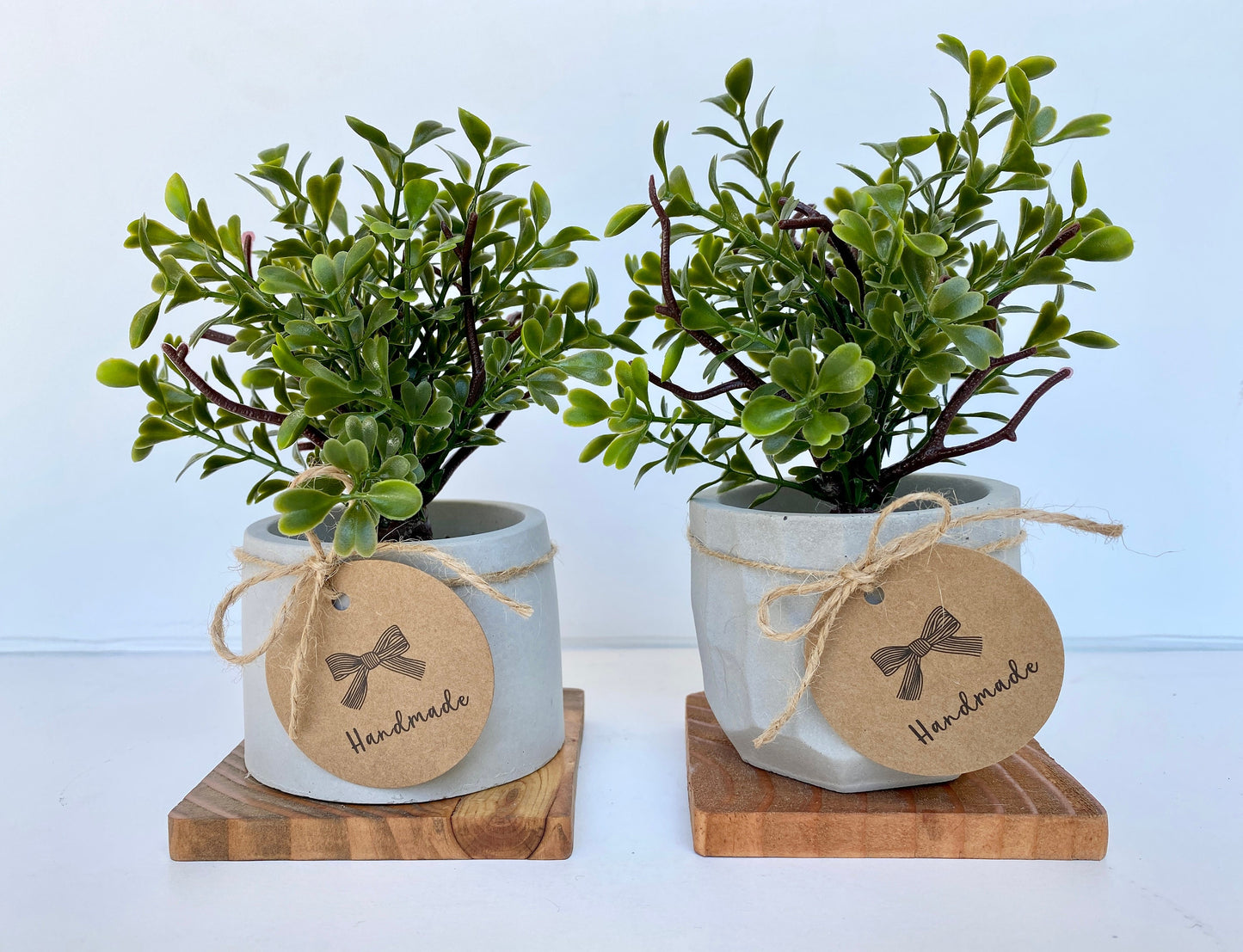 Artificial Mini Tree in handmade Concrete Pot with Wood Tray