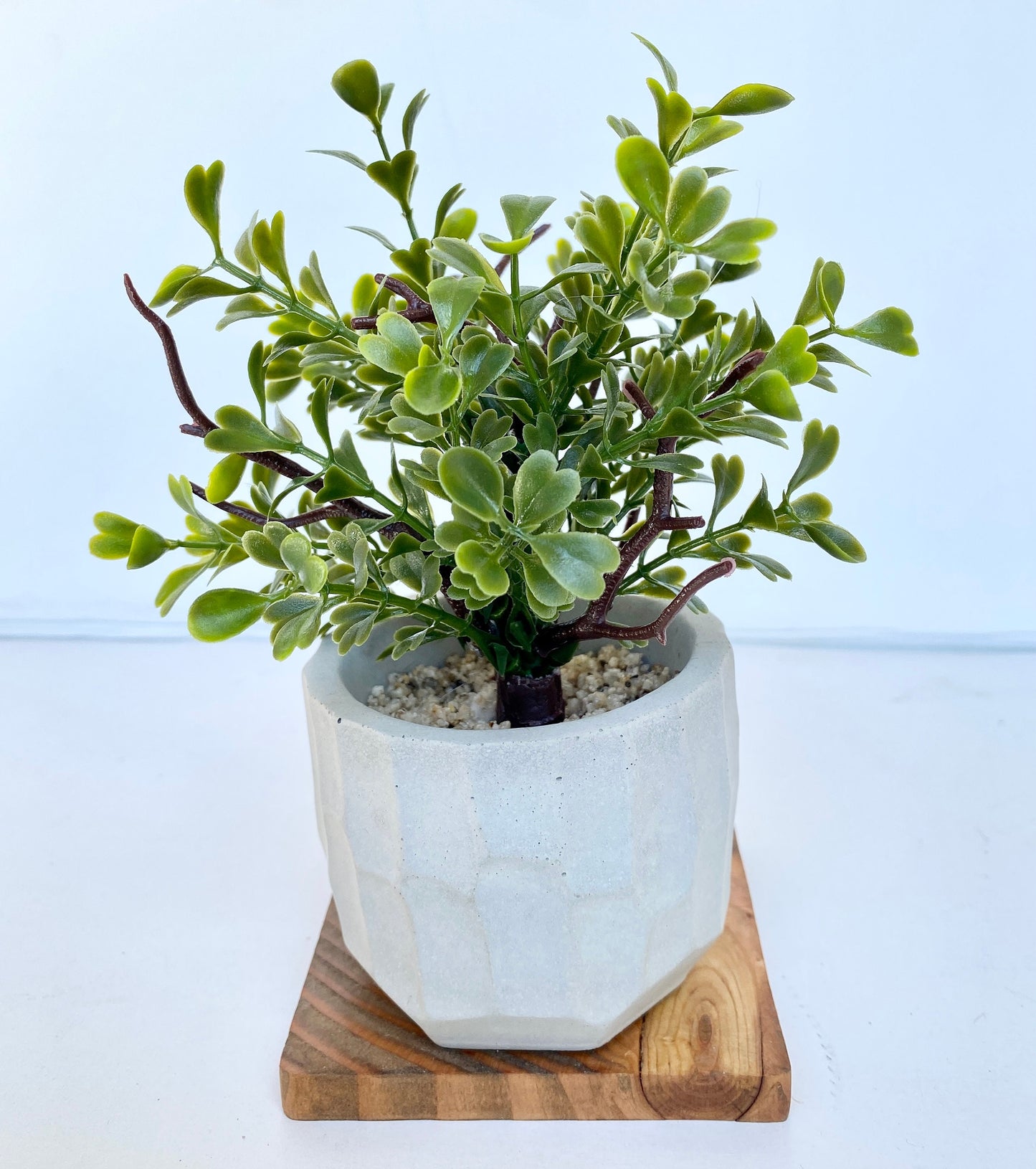 Artificial Mini Tree in handmade Concrete Pot with Wood Tray