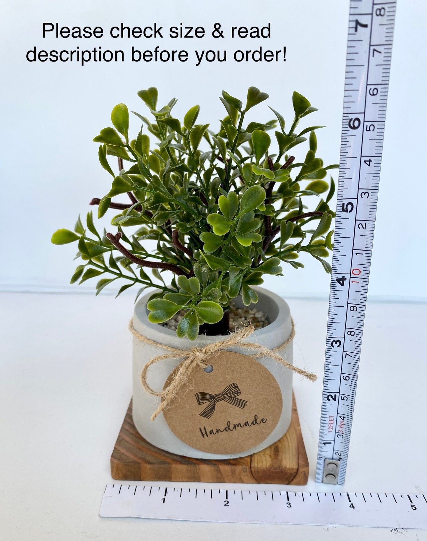 Artificial Mini Tree in handmade Concrete Pot with Wood Tray