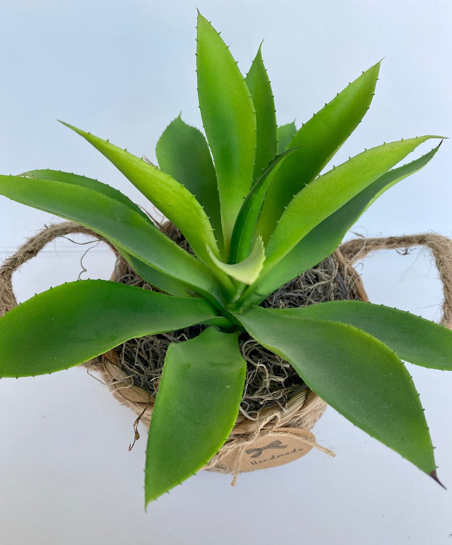 Sea Grass Basket with artificial Agave Succulent