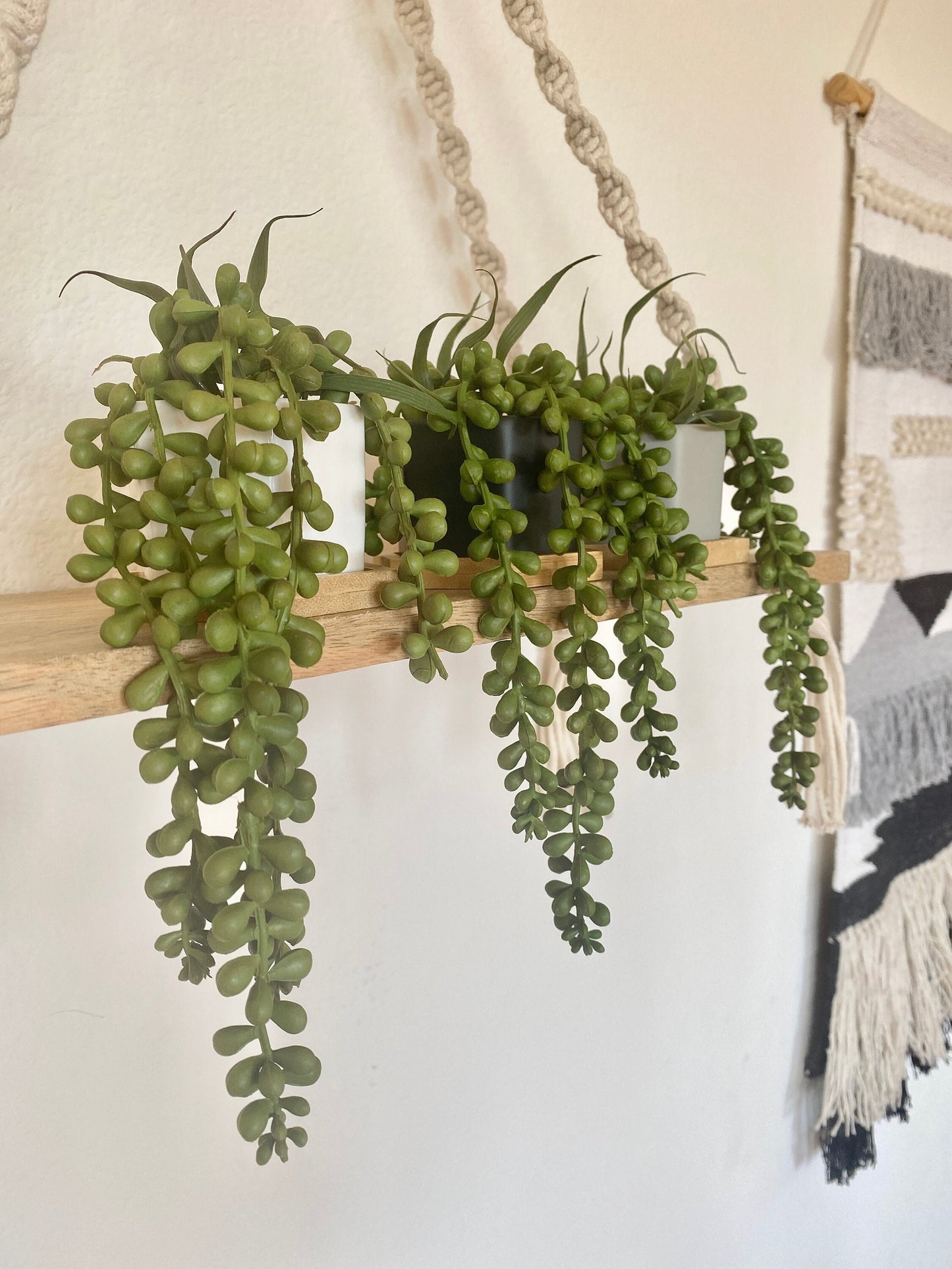 Small Artificial Burro's Tail in Hexagon Pot with Bamboo Tray