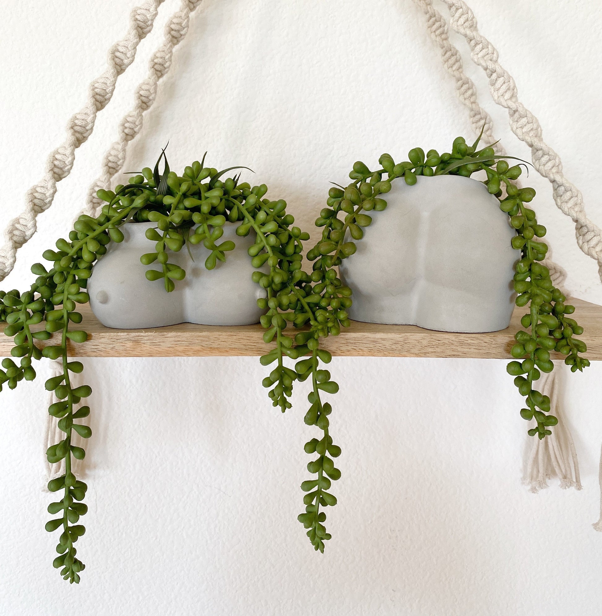 succulent butt Cement Butt or Boob Pot with Faux Burro's Tail Succulent Hanging Plant – Ursina's Deco Shop