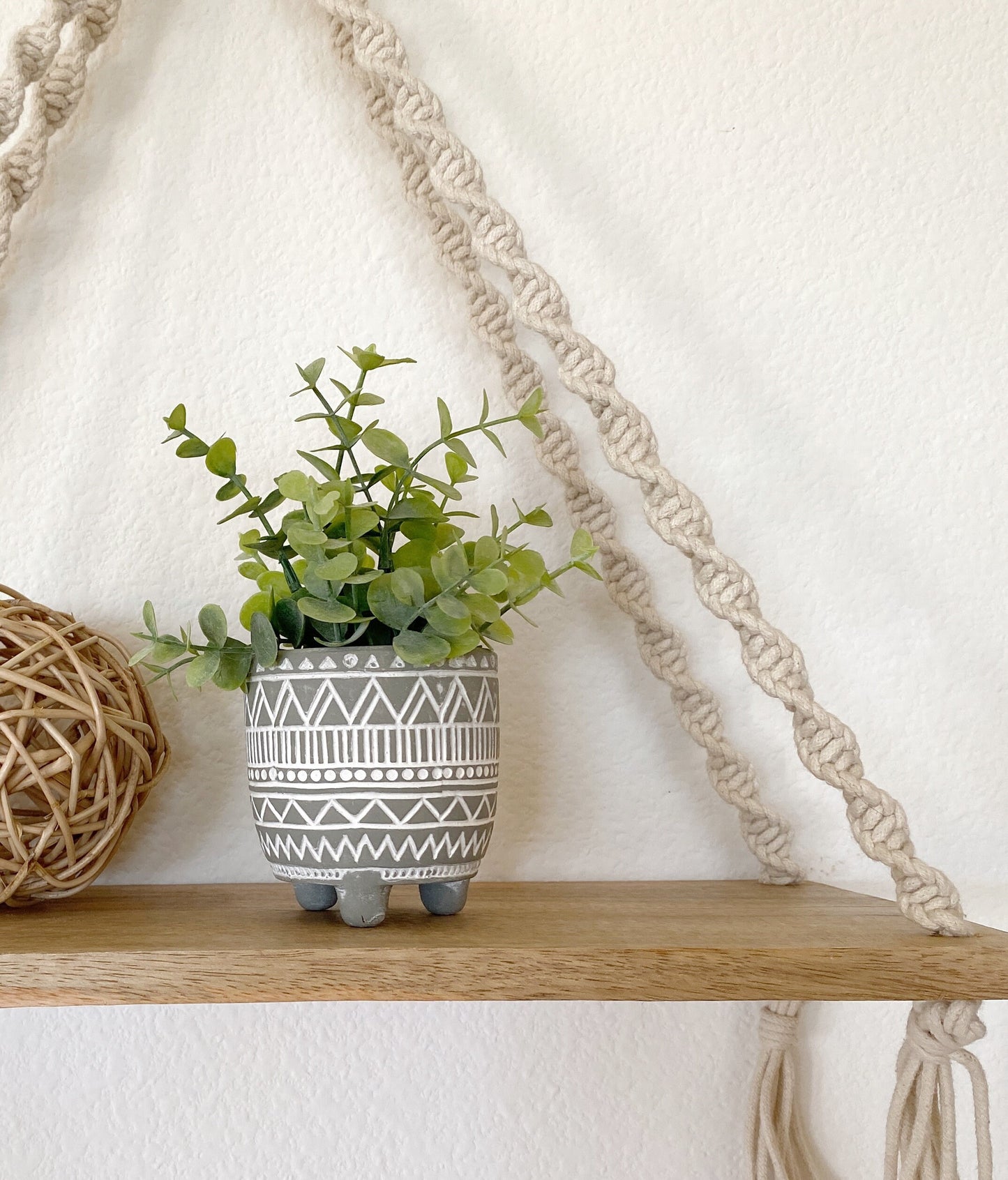 Artificial Eucalyptus Plant in textured Ceramic Pot