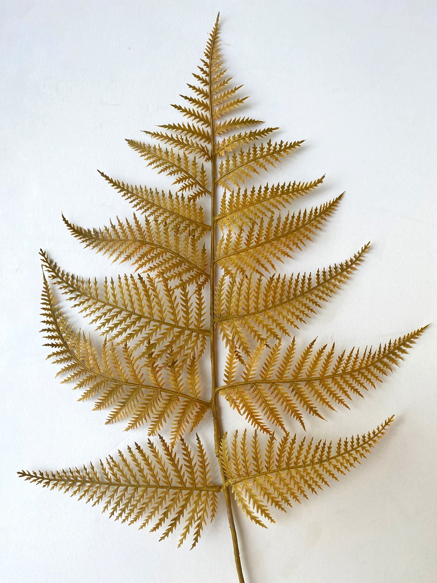 Artificial Fern Spray 32"  mustard, beige or rust red